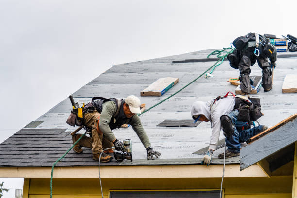 Professional Flat Roof Repair technician working in Hamshire, TX